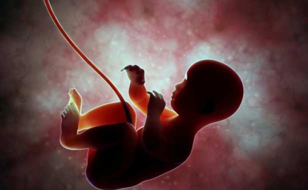 unborn_baby_graphic_810_500_55_s_c1